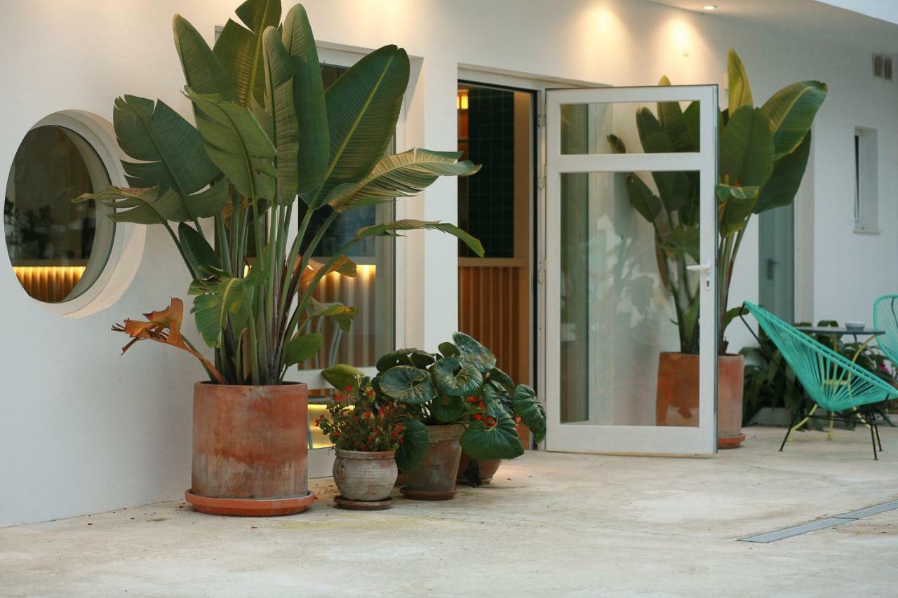 Hostal Las Cumbres Conil De La Frontera Buitenkant foto